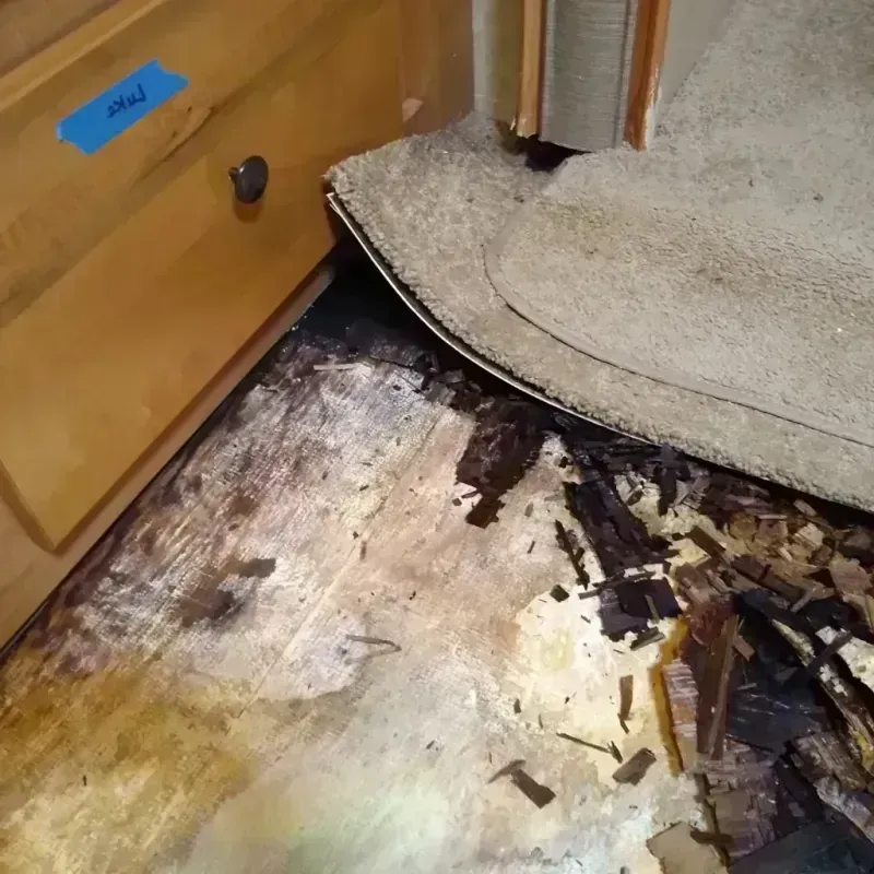 Wood Floor Water Damage in Bayonet Point, FL